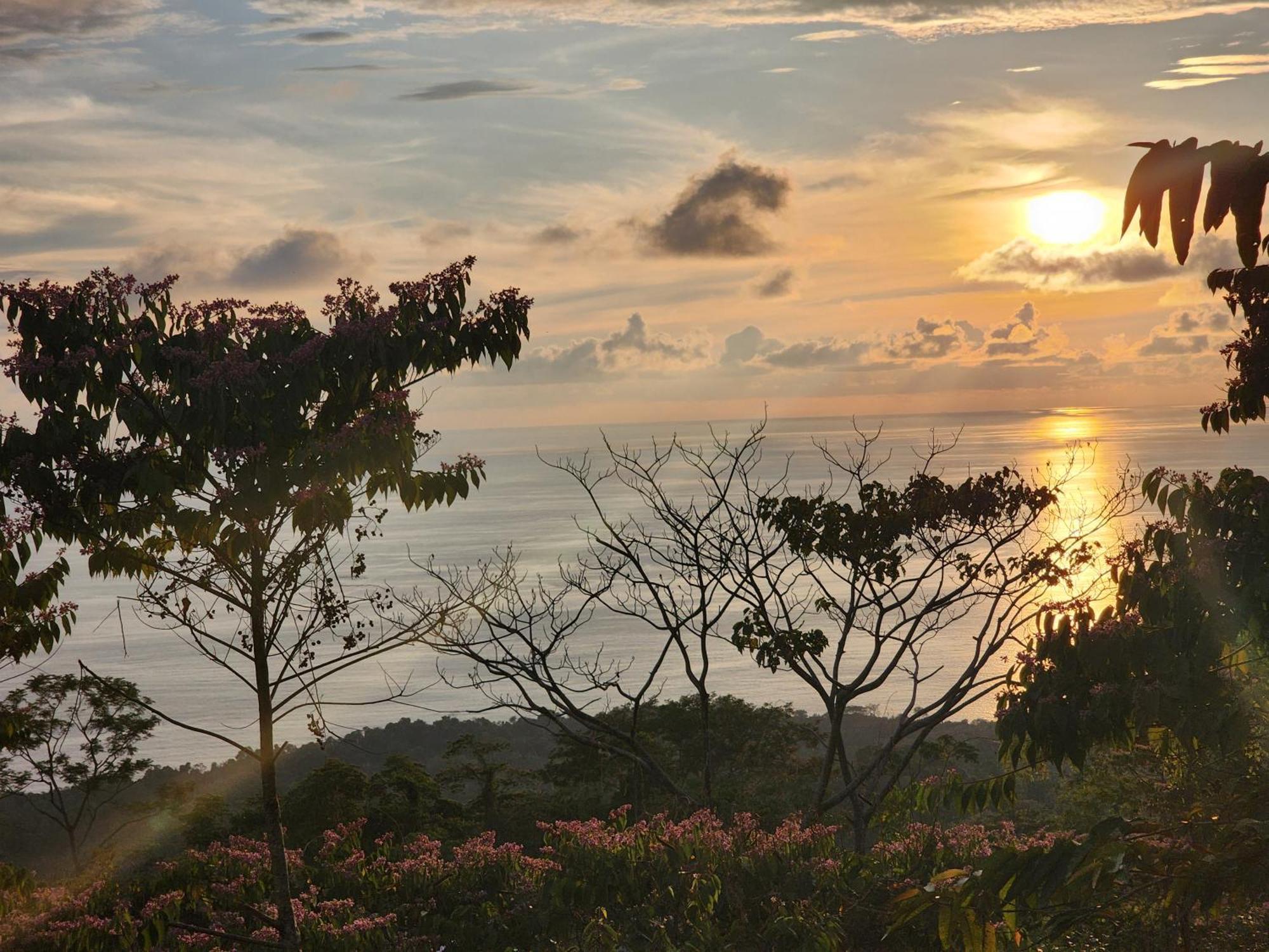 Canavida Villas & Resort 乌维塔 外观 照片